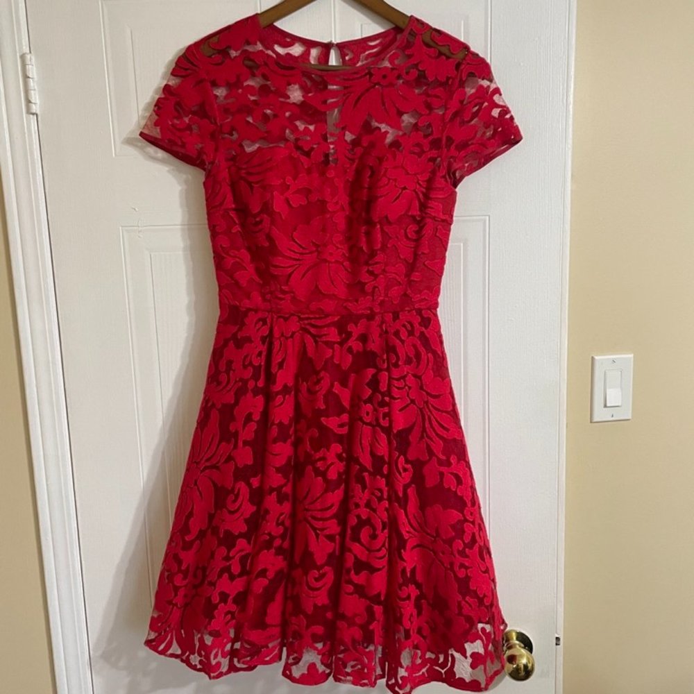 Ted Baker Caree Sheer Floral Overlay Dress Fuschia